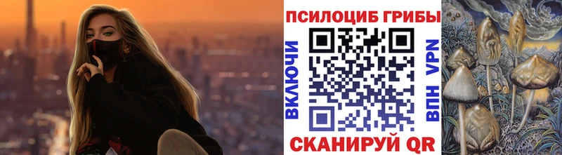 купить   Аткарск  Псилоцибиновые грибы мухоморы 